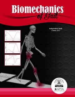 Biomechanics of Gait