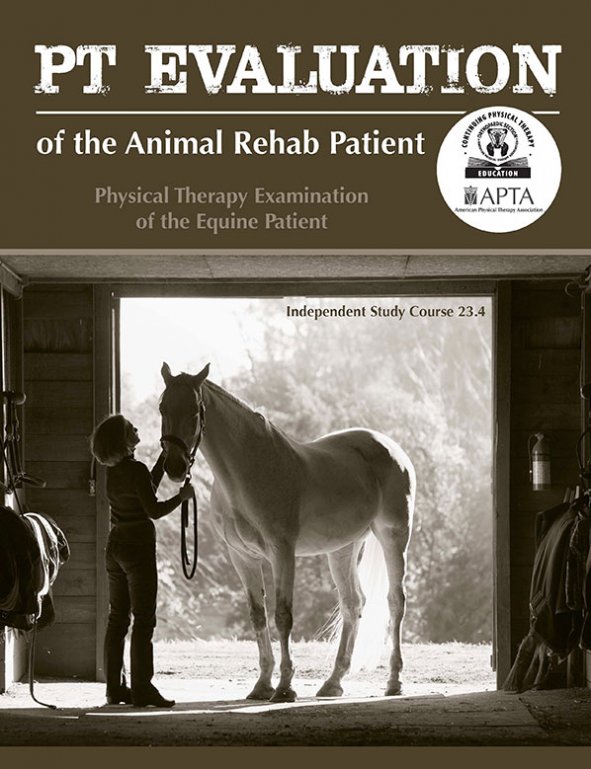 PT Examination of the Equine Patient