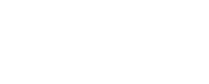 Academy of Orthopaedic Physical Therapy