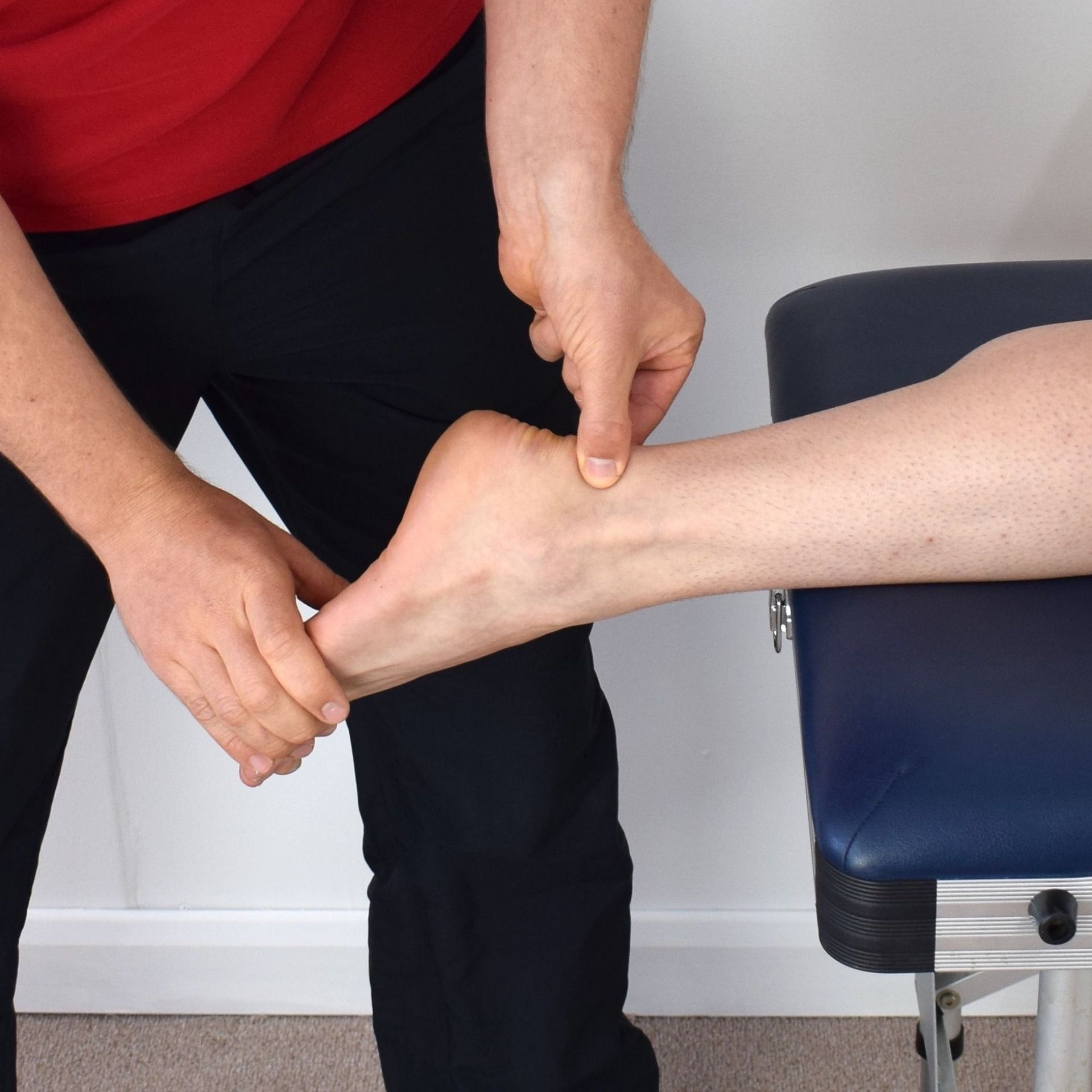 Foot And Ankle SIG