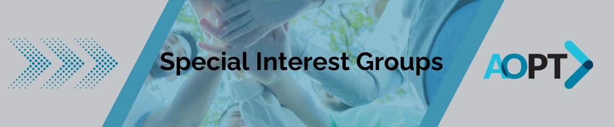 Special Interest Groups