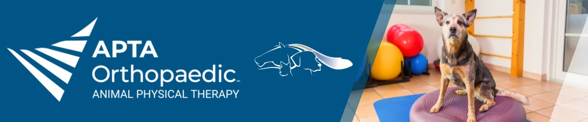 APTSIG Strategic Plan, Mission, and Vision