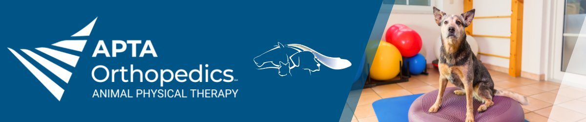Animal Physical Therapy SIG